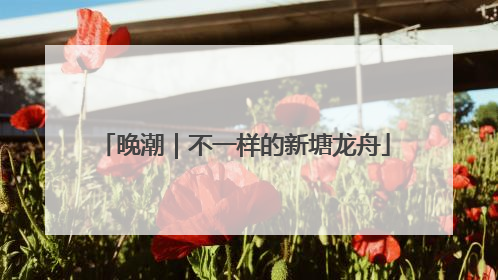 晚潮｜不一样的新塘龙舟